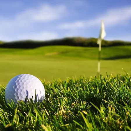 Apartment Msc Golf & *