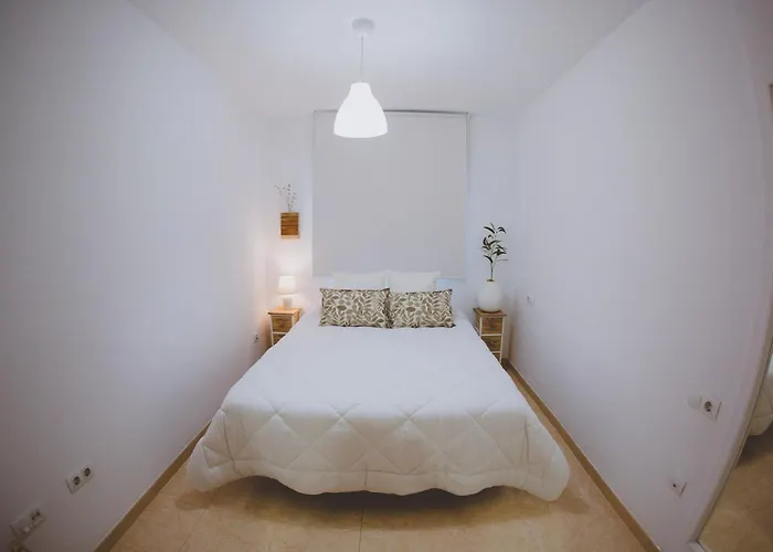 Msc Golf & Apartment