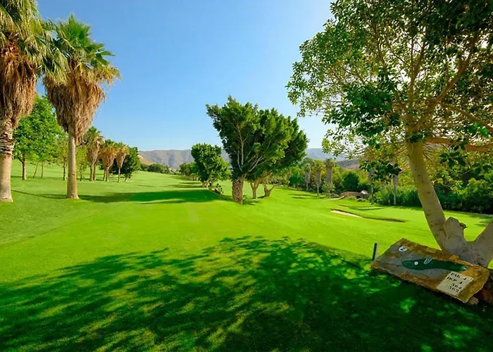 Msc Golf & *